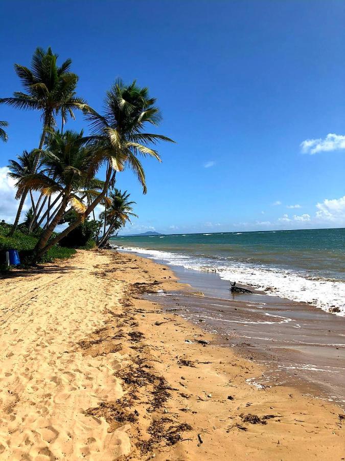 Mariposa Beach House هوماكاو المظهر الخارجي الصورة